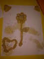 /album/curso-de-verano-2012/a3-jpg/